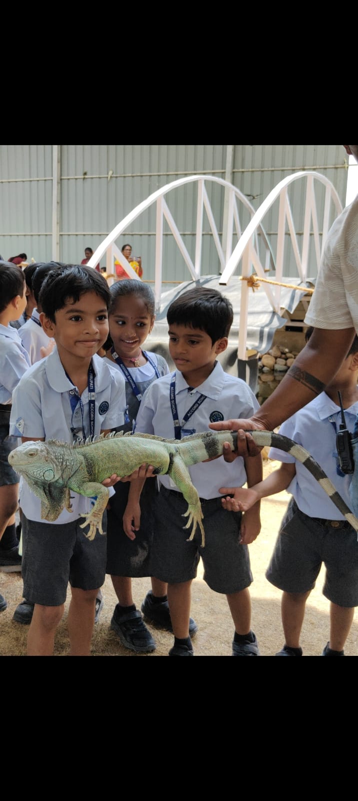 Children learning in nature